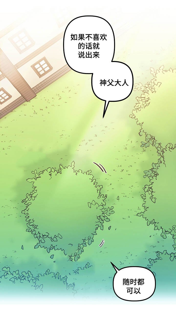 第14章：选择