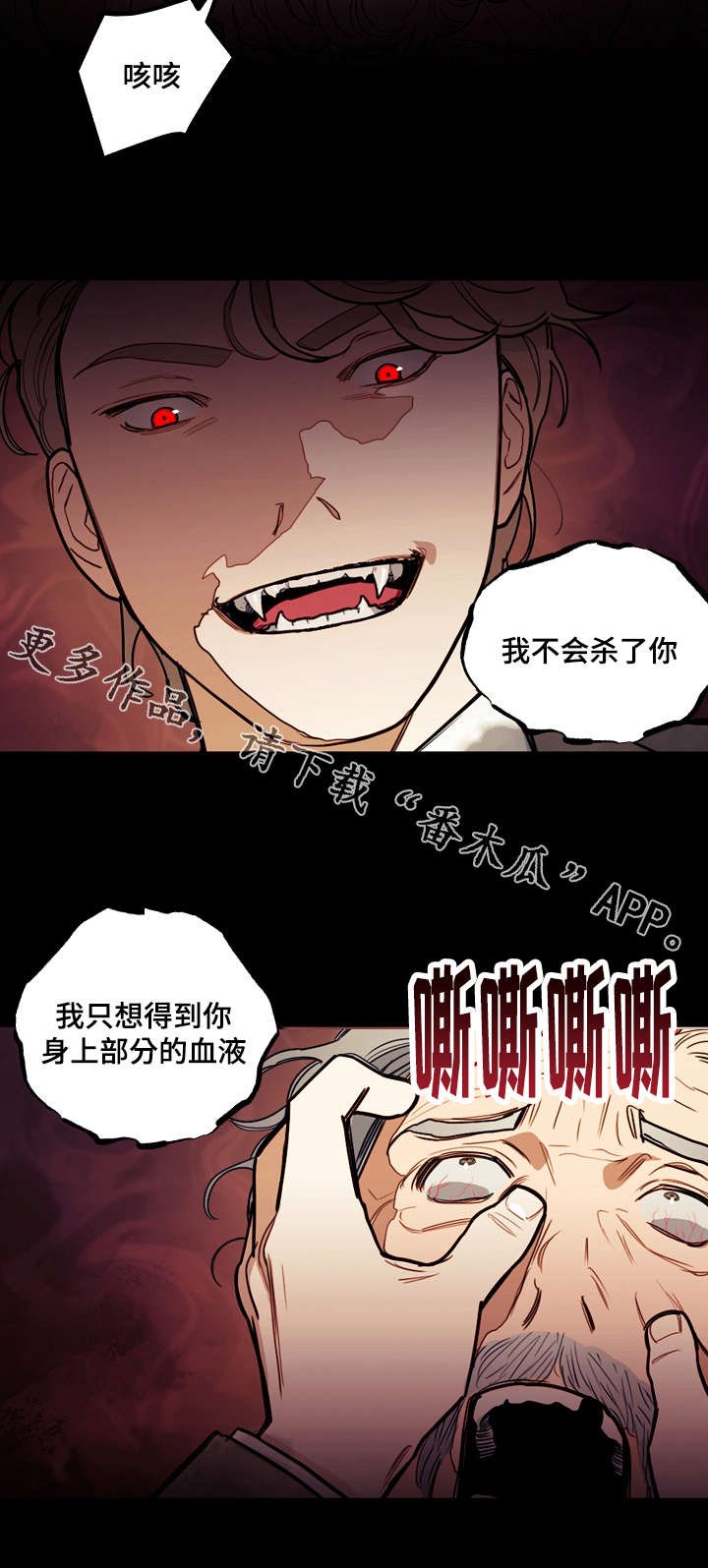 第17章：诅咒