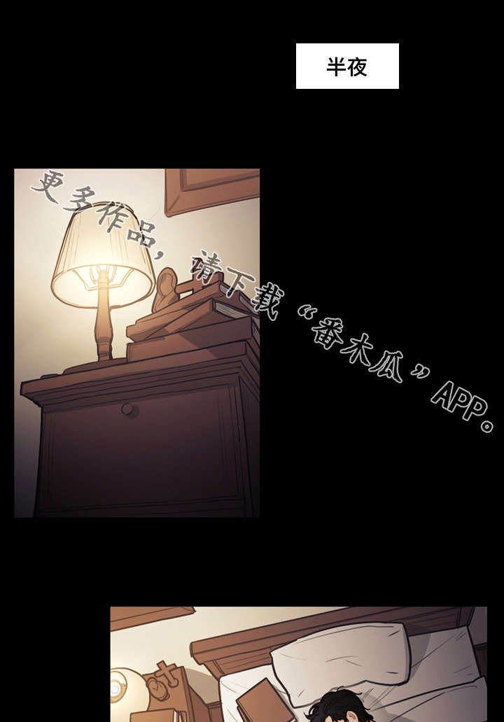 第19章：刺杀