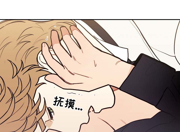 第36章：约定