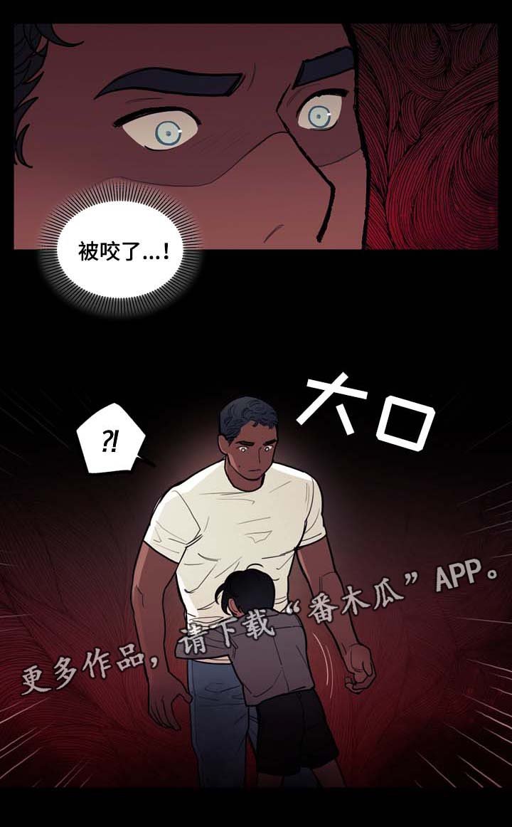 第36章：约定