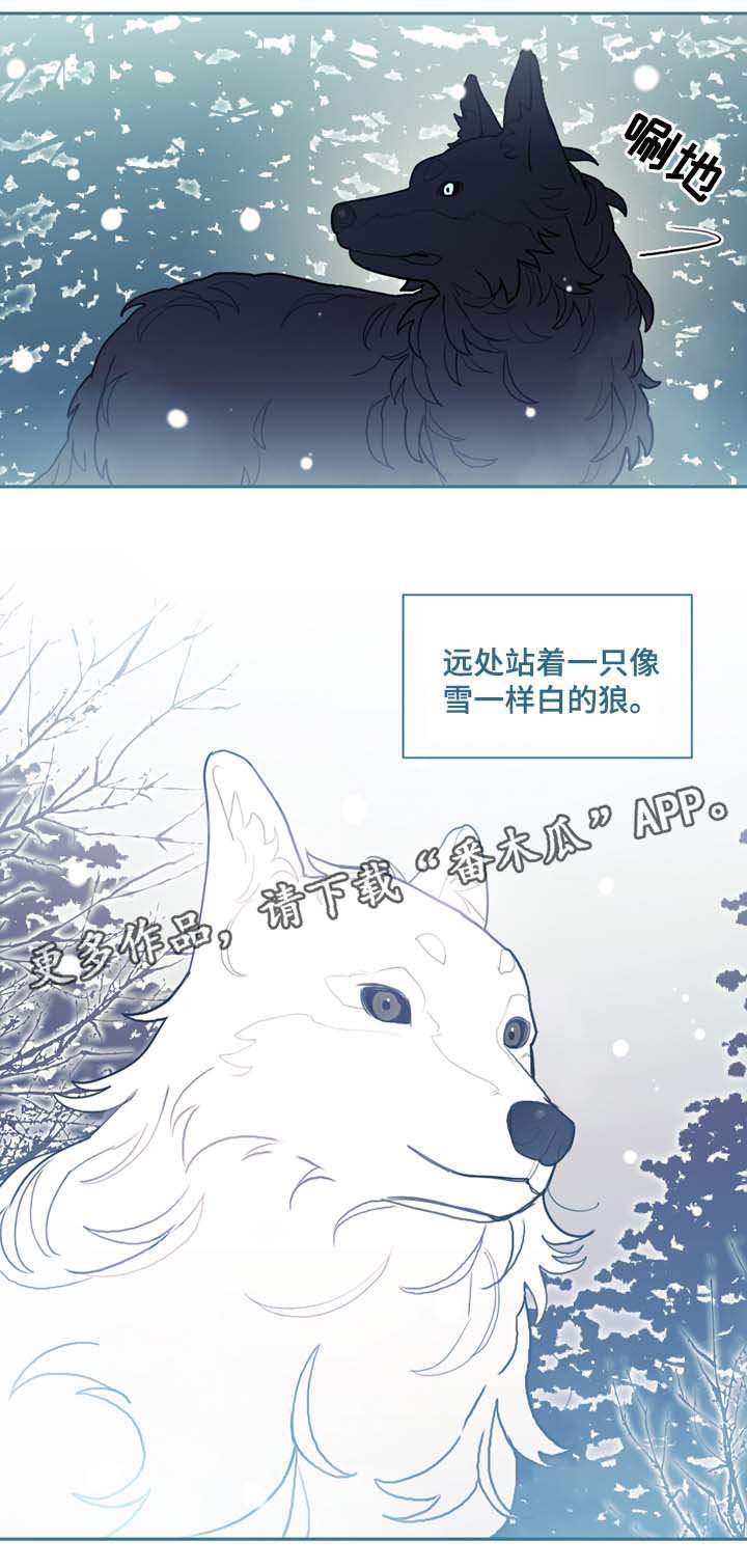 第48章：别太过火了