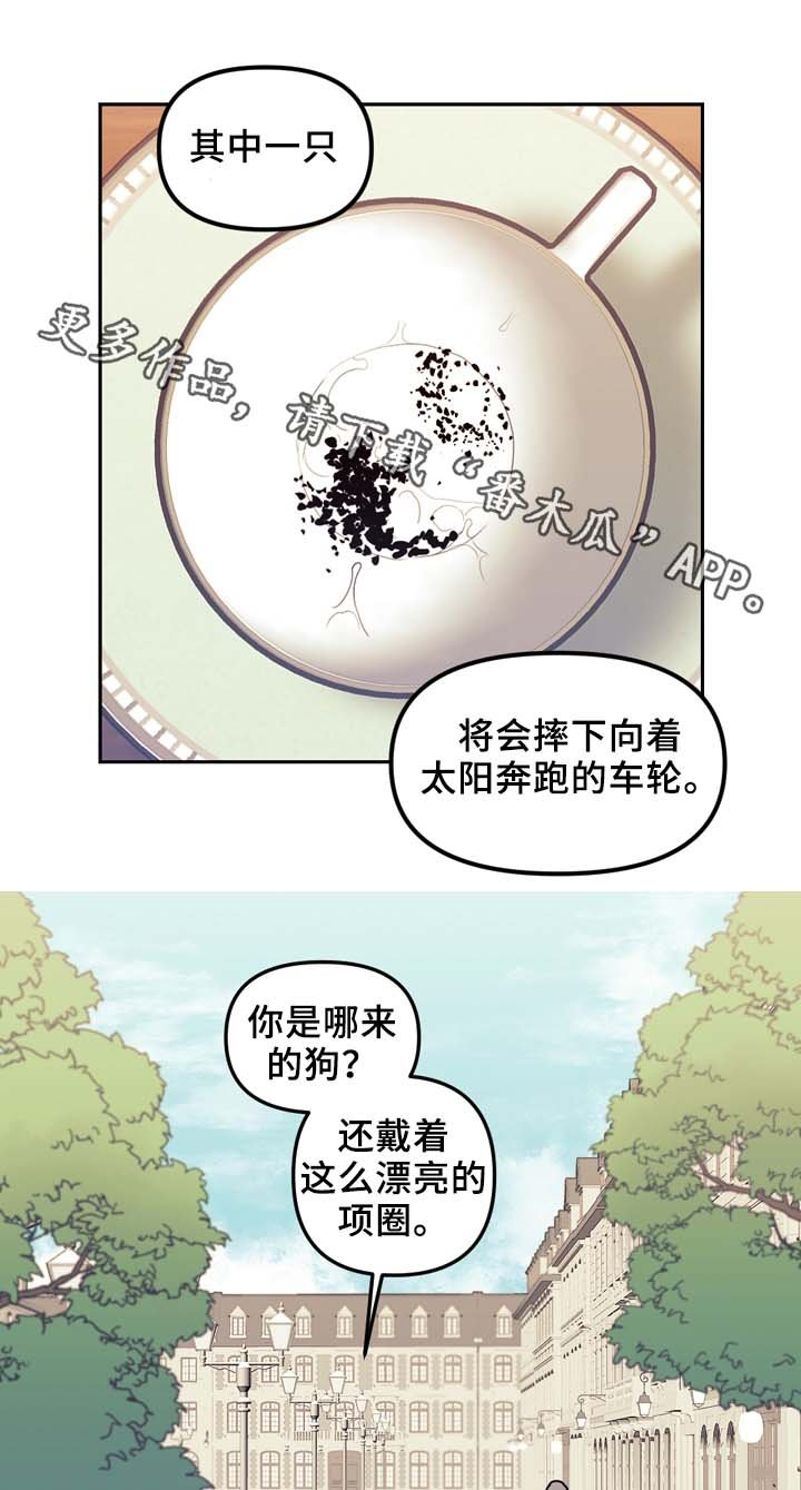 第52章：传说