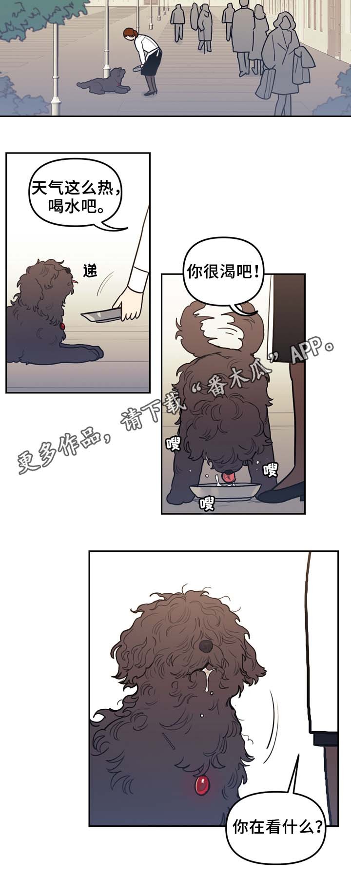 第52章：传说