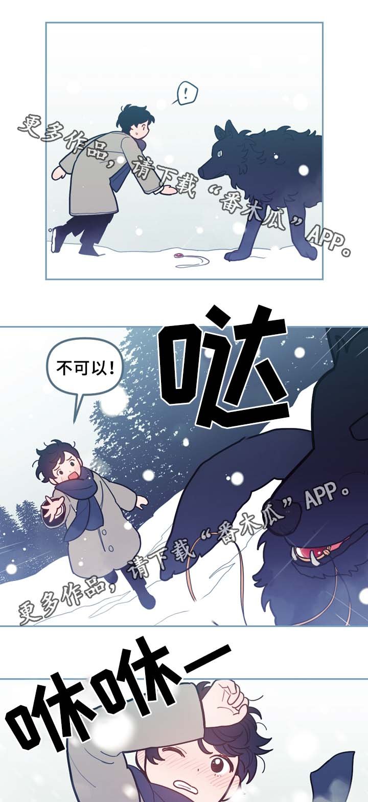 第54章：一个问题