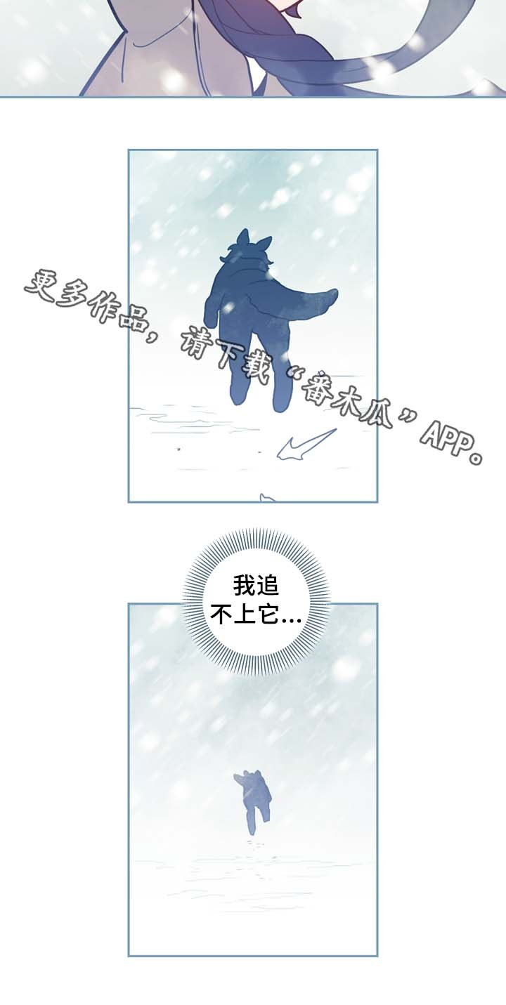 第54章：一个问题