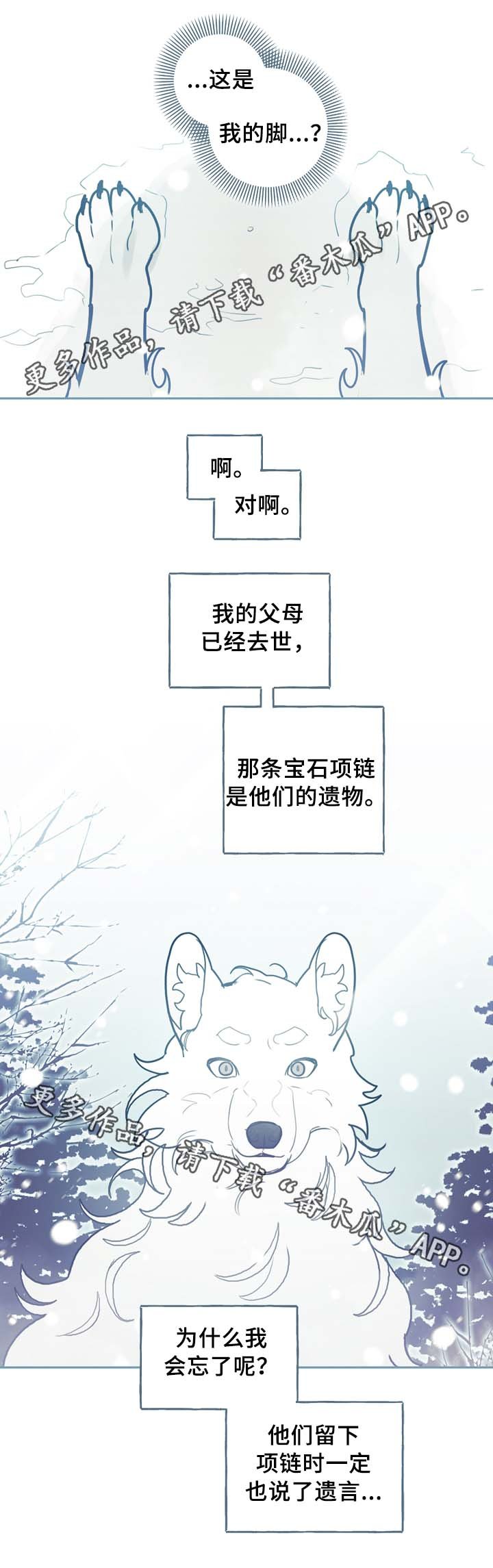 第54章：一个问题