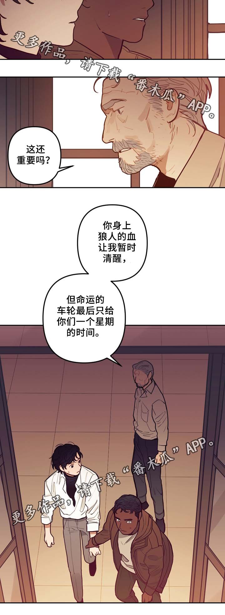 第58章：最后一星期