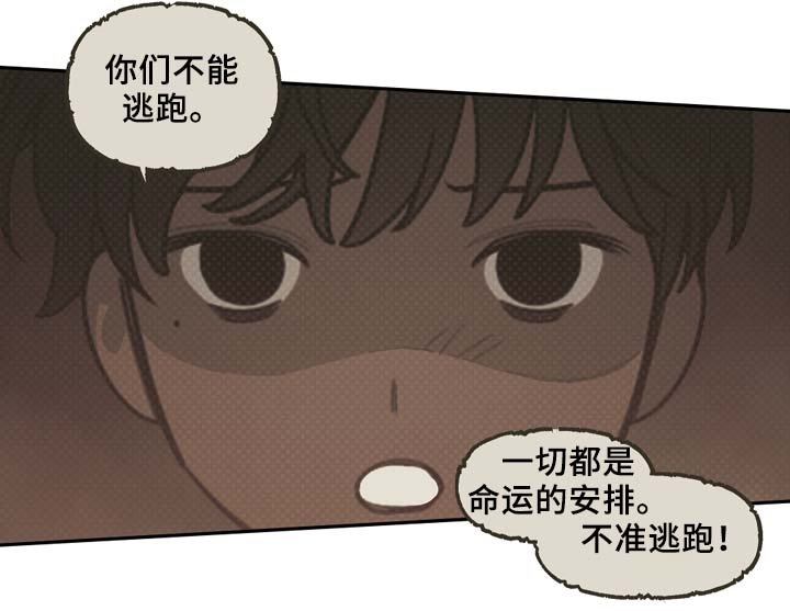 第60章：实现预言