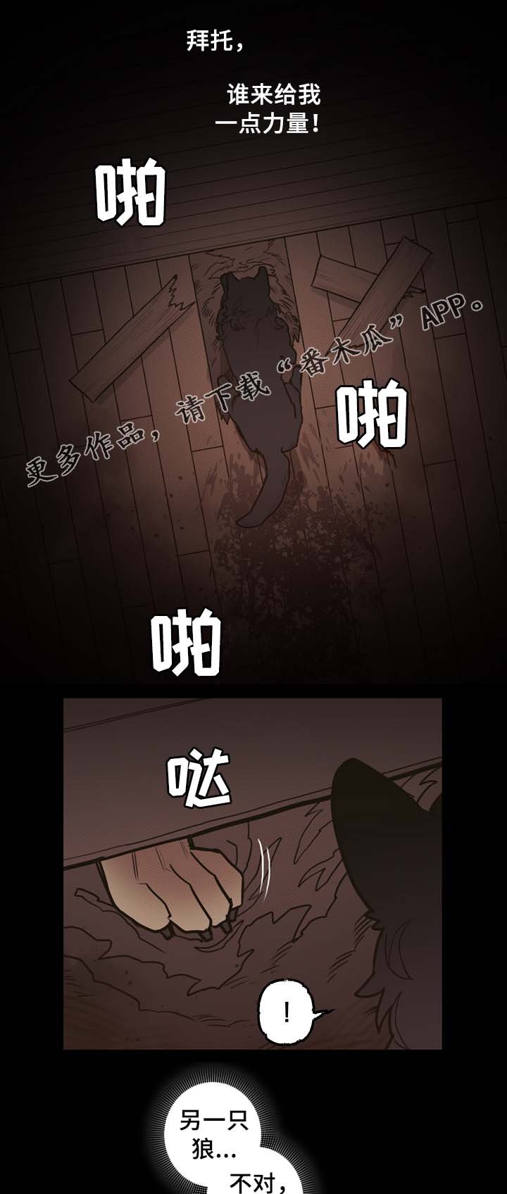 第61章：宝石召唤
