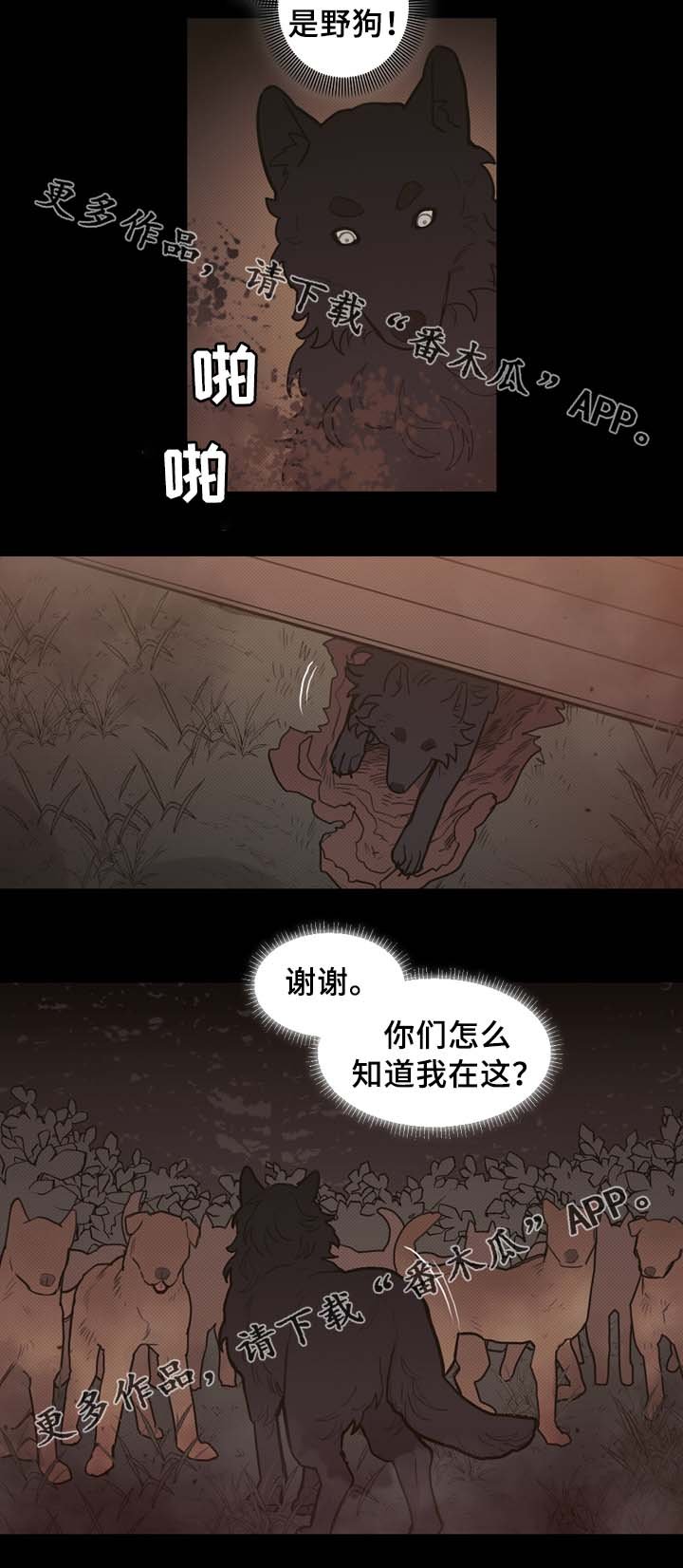 第61章：宝石召唤