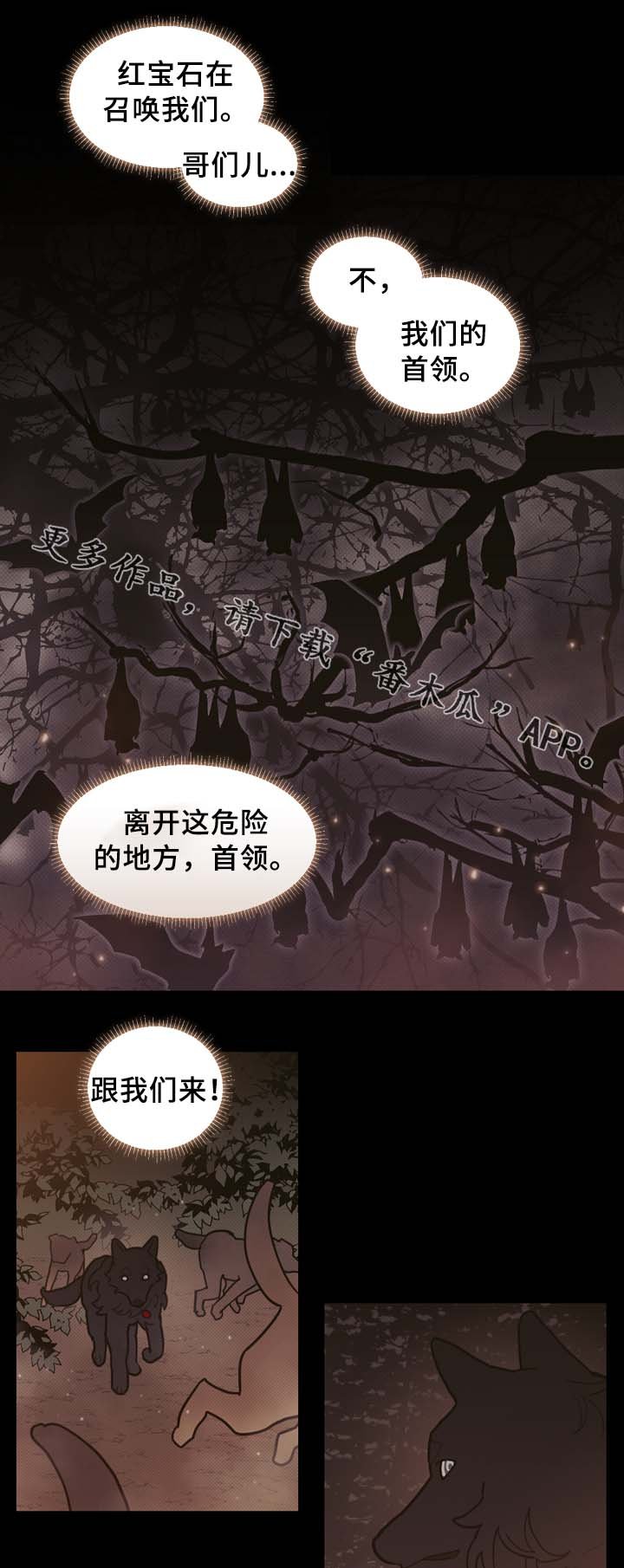 第62章：配角