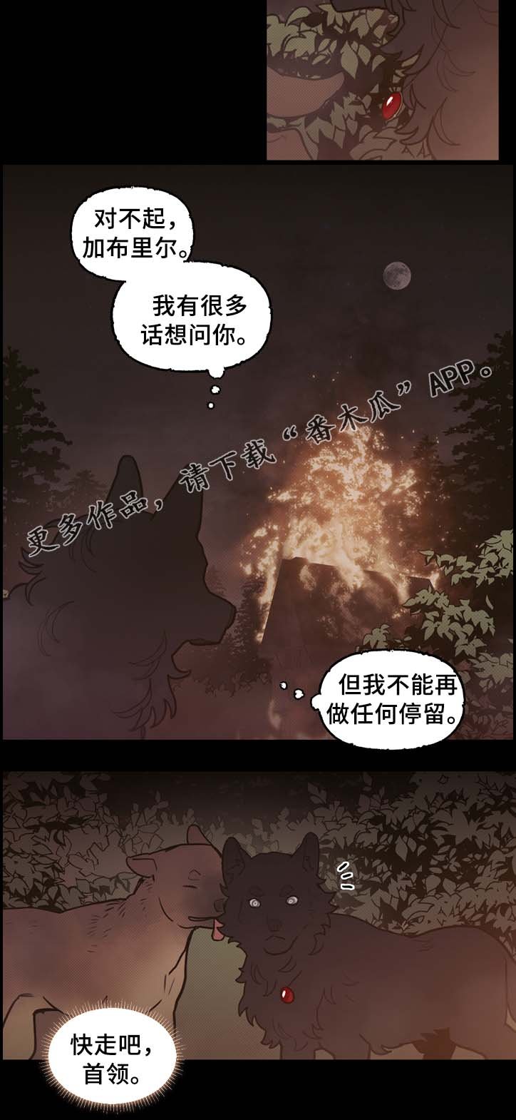 第62章：配角