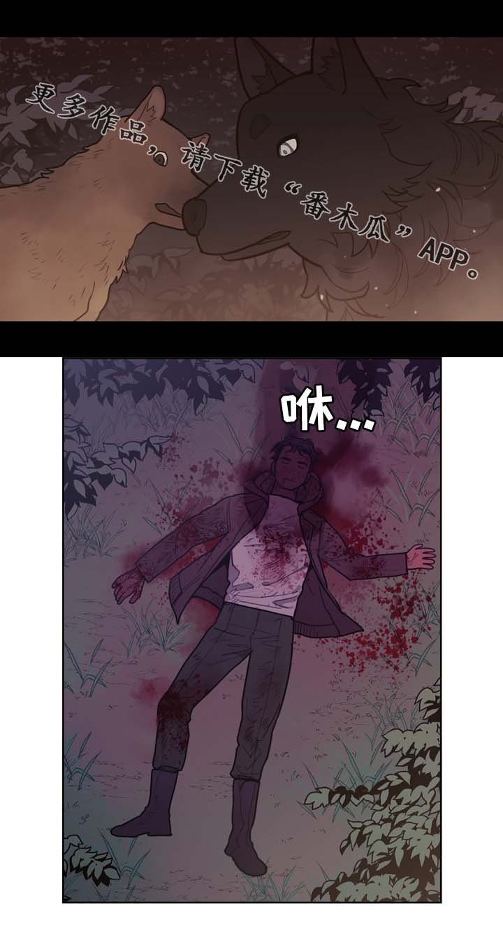 第62章：配角