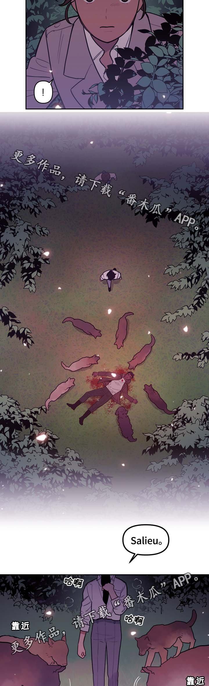 第65章：白狼