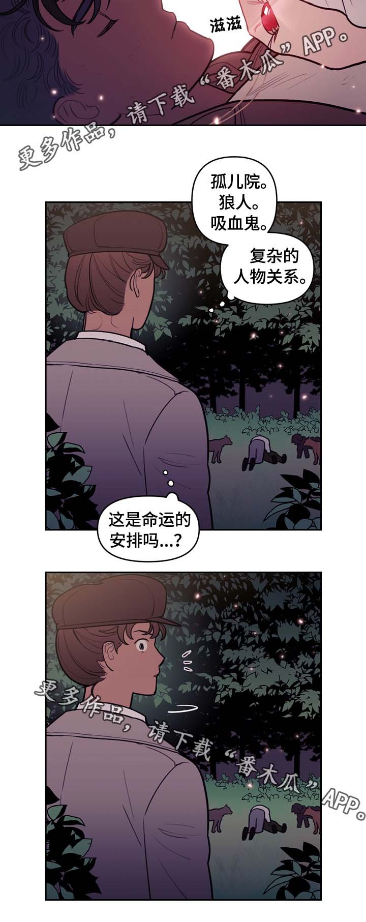 第65章：白狼