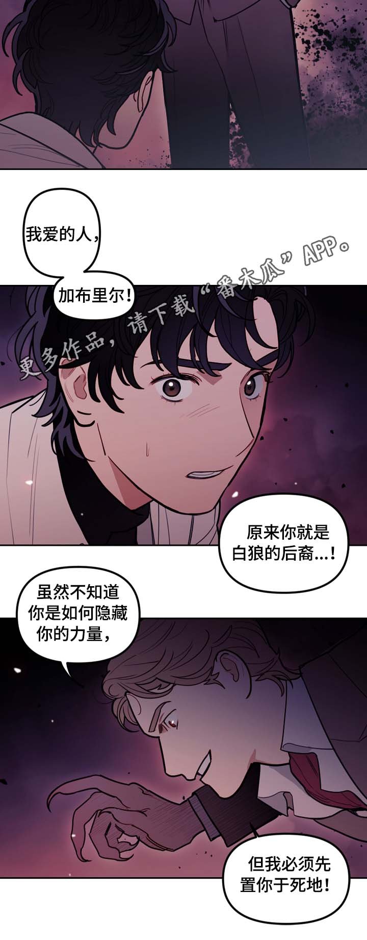 第65章：白狼