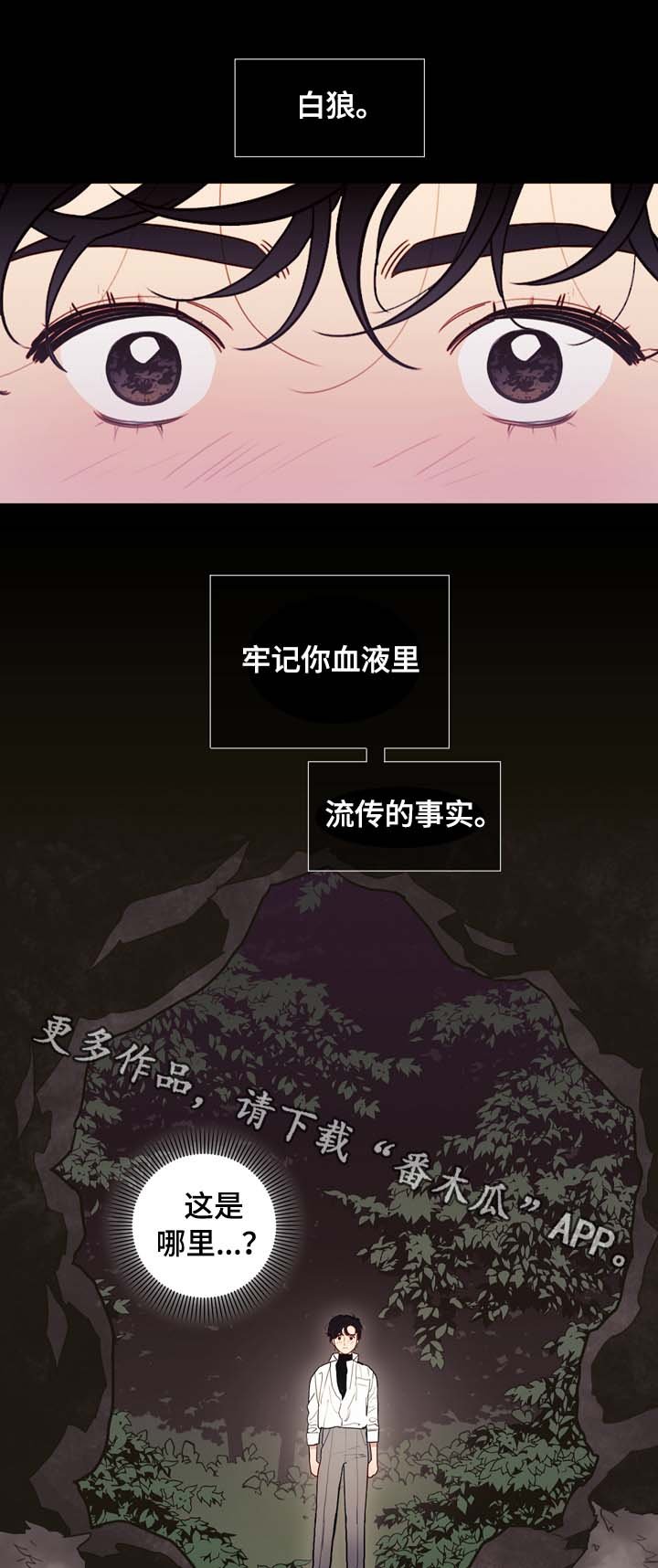 第65章：白狼