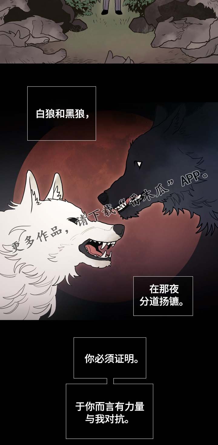 第65章：白狼