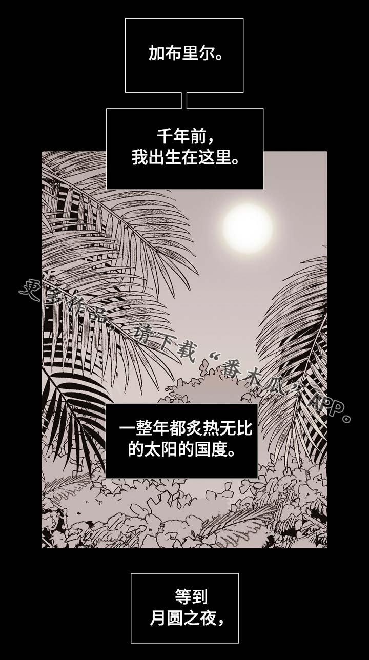第66章：狼族秘辛