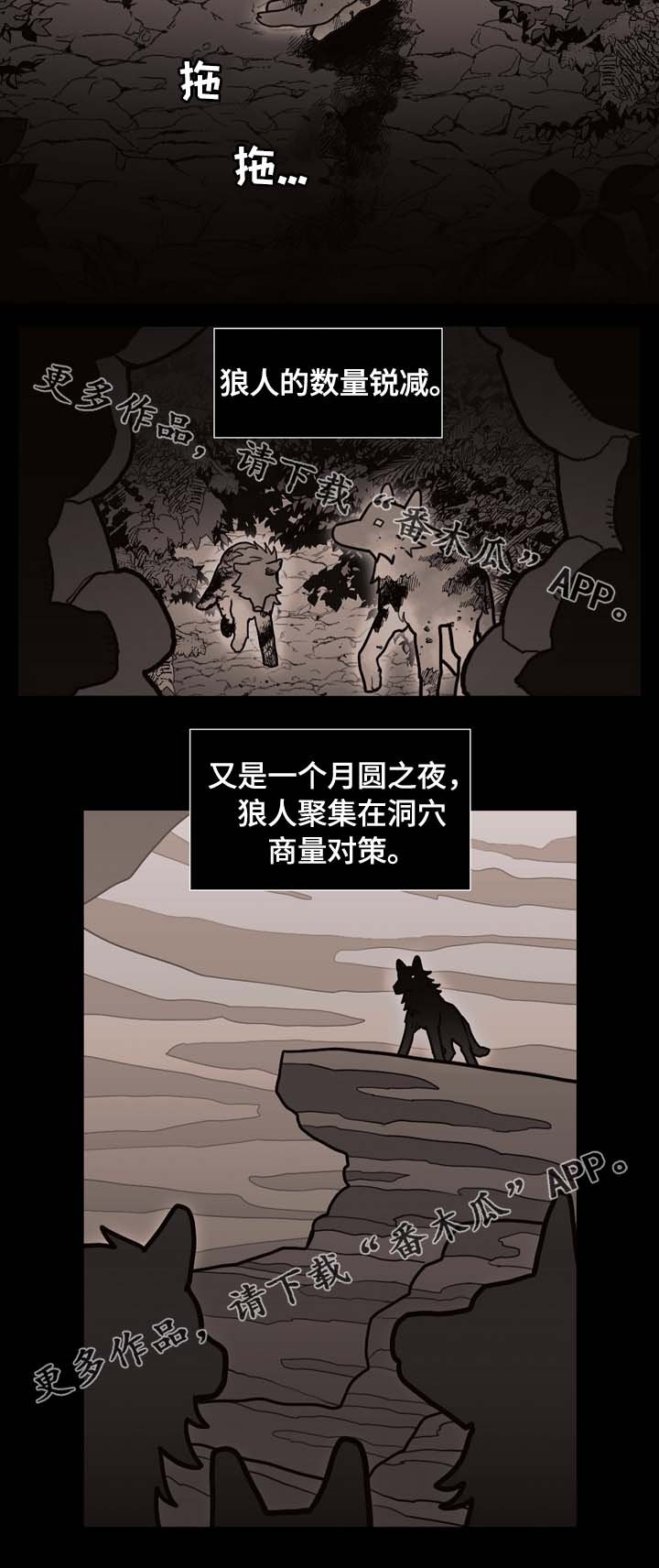 第66章：狼族秘辛