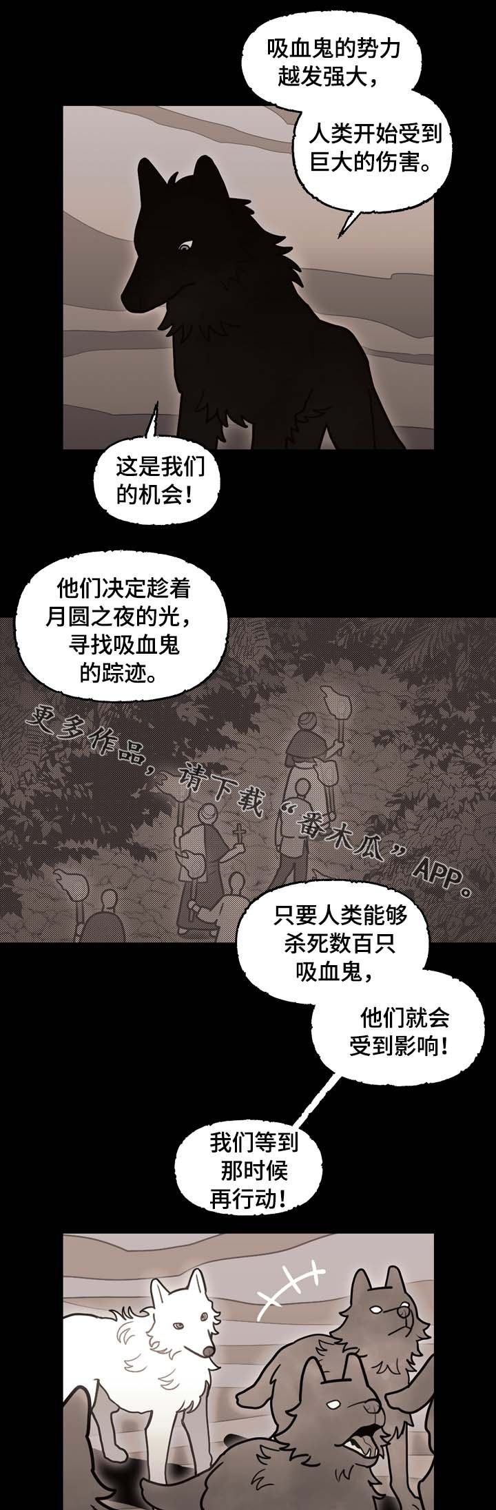 第66章：狼族秘辛
