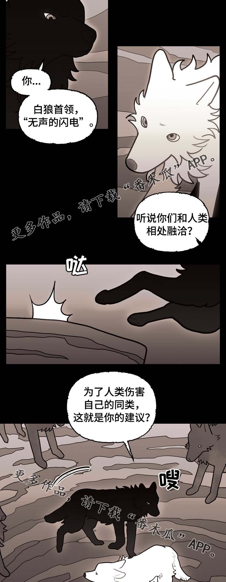 第66章：狼族秘辛