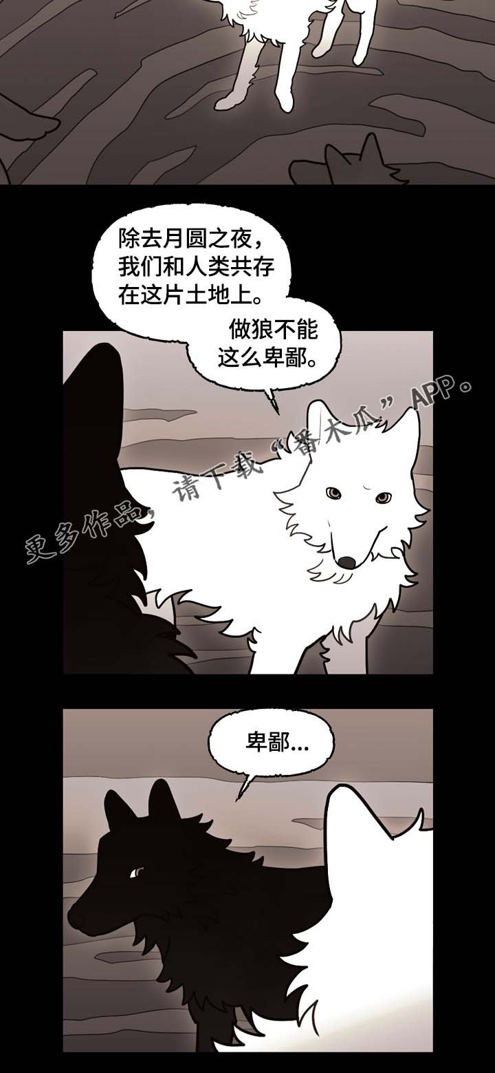 第66章：狼族秘辛
