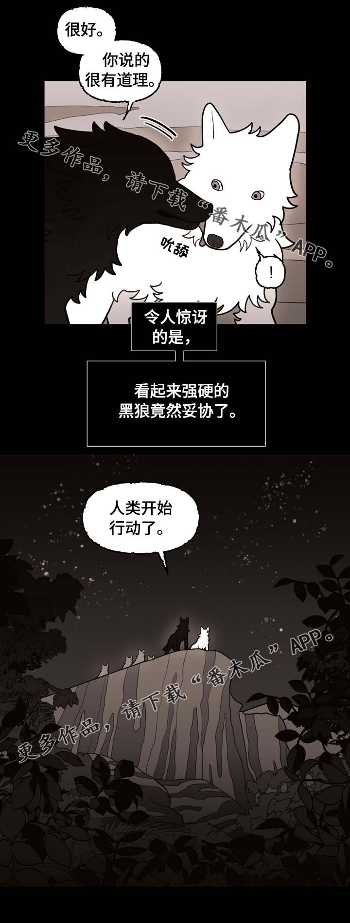 第66章：狼族秘辛