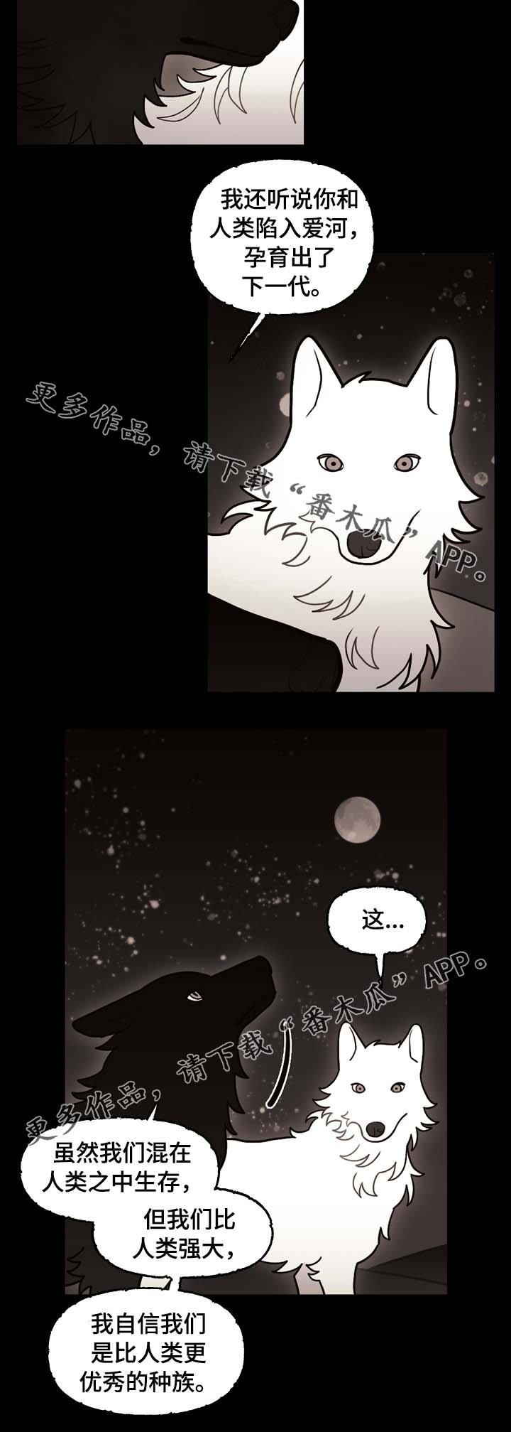 第66章：狼族秘辛