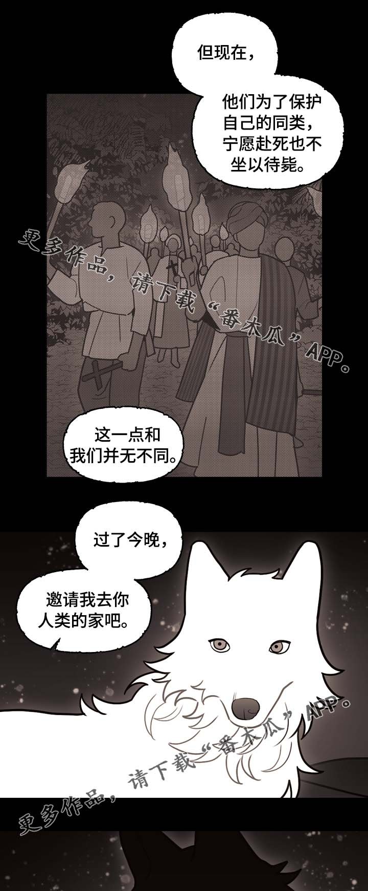 第66章：狼族秘辛
