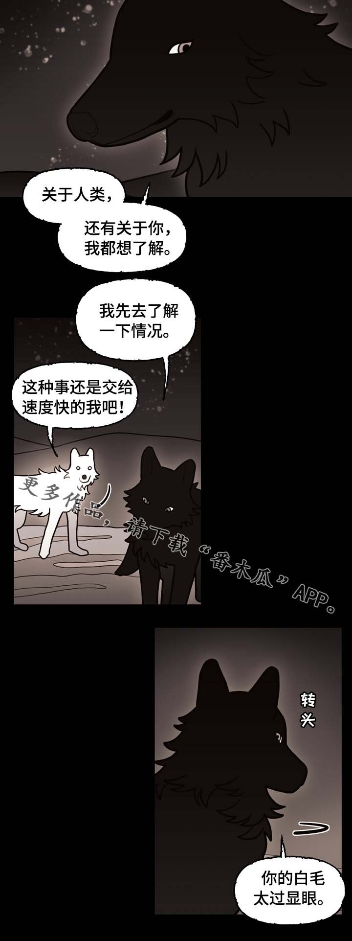 第66章：狼族秘辛