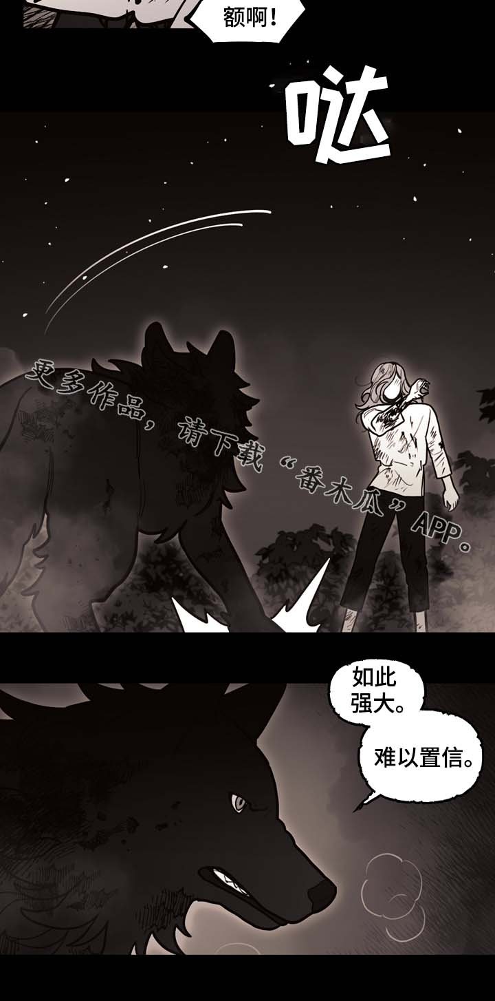 第68章：到底有多快