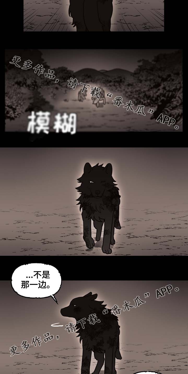第69章：狼王的诅咒