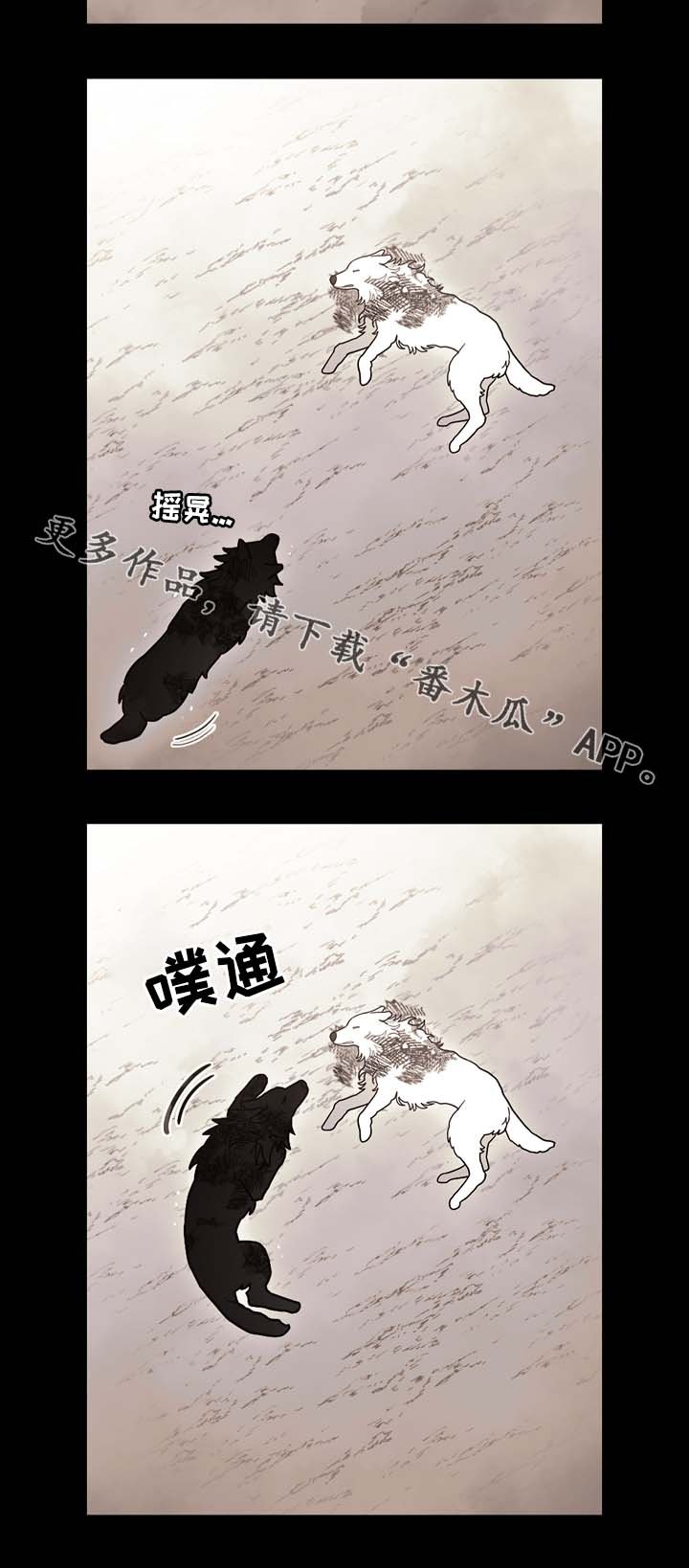 第69章：狼王的诅咒