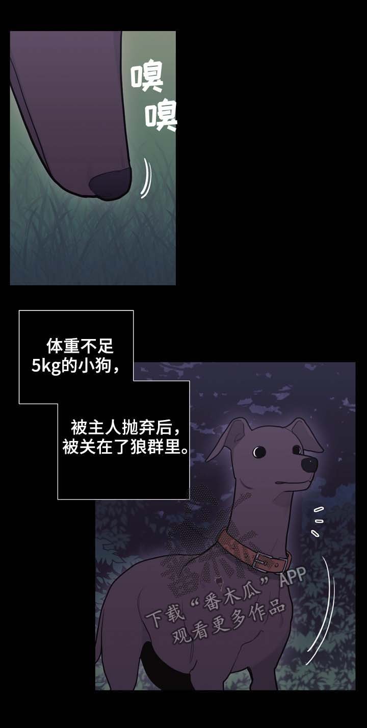 第97章：搜查兵