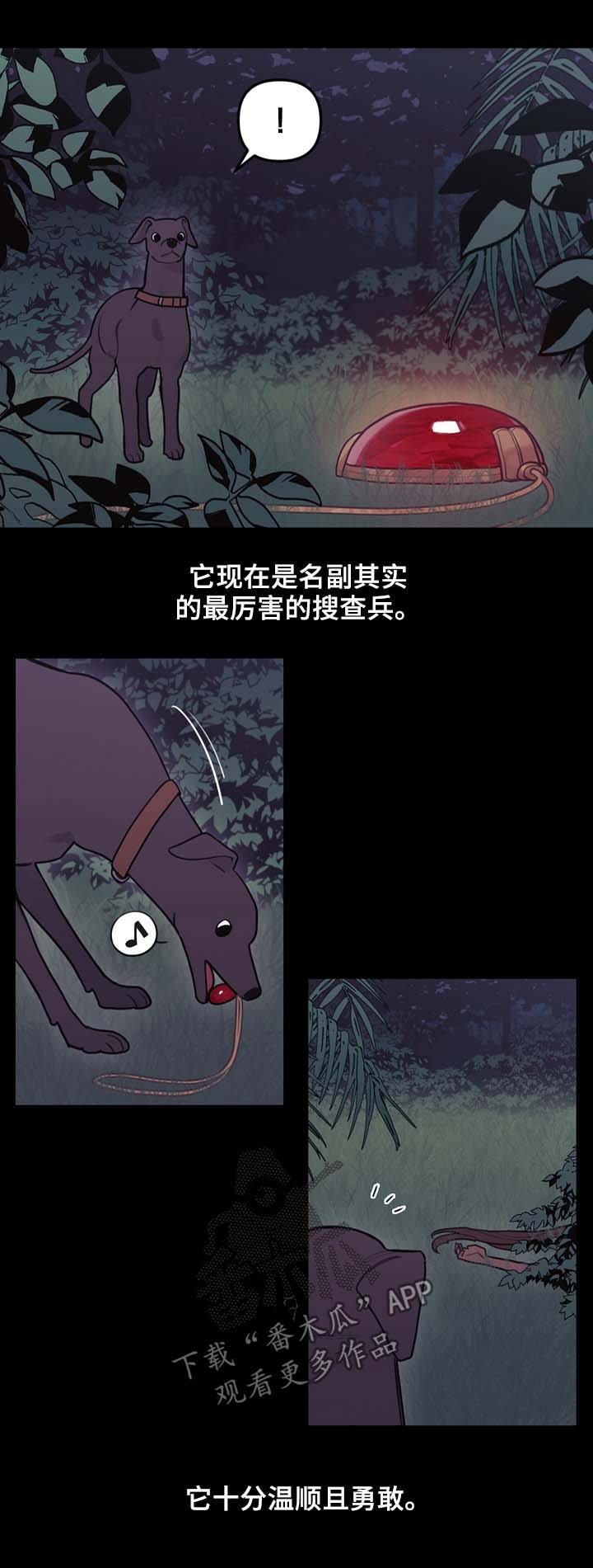 第97章：搜查兵