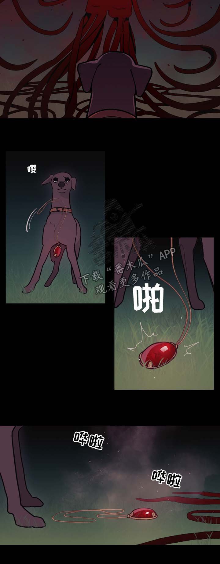 第98章：名字