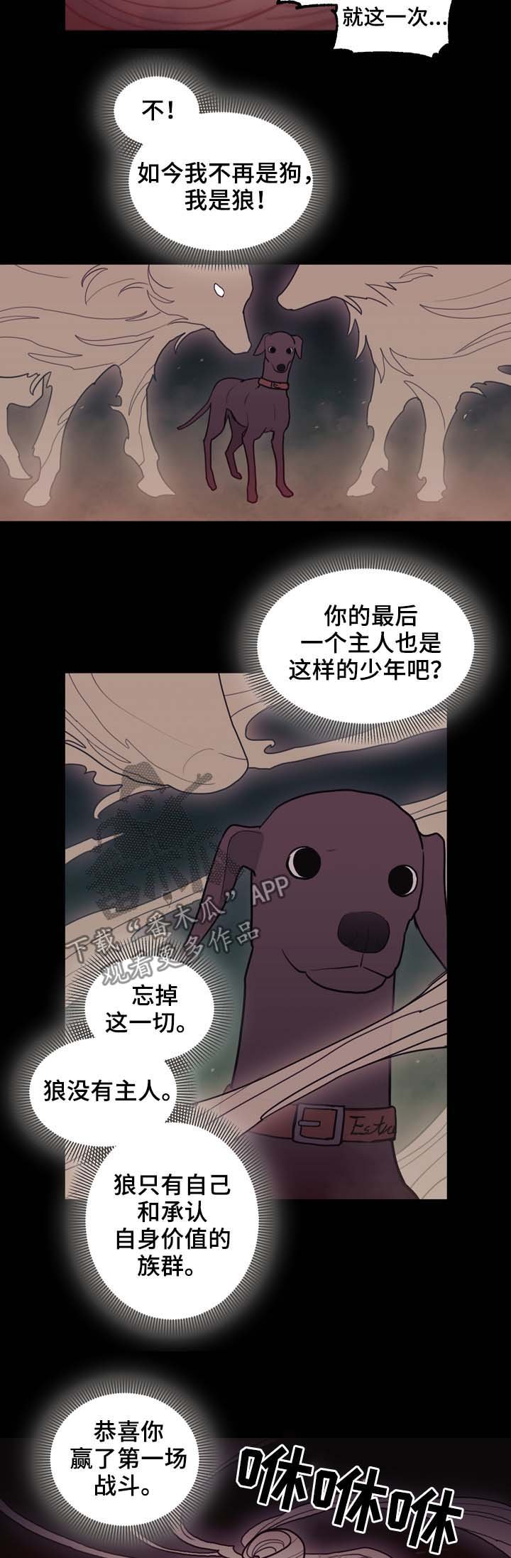 第99章：冲动的尝试