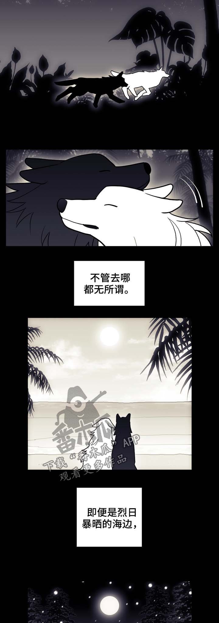 第99章：冲动的尝试