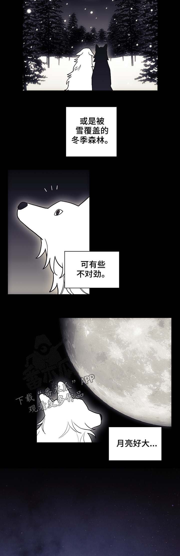 第99章：冲动的尝试