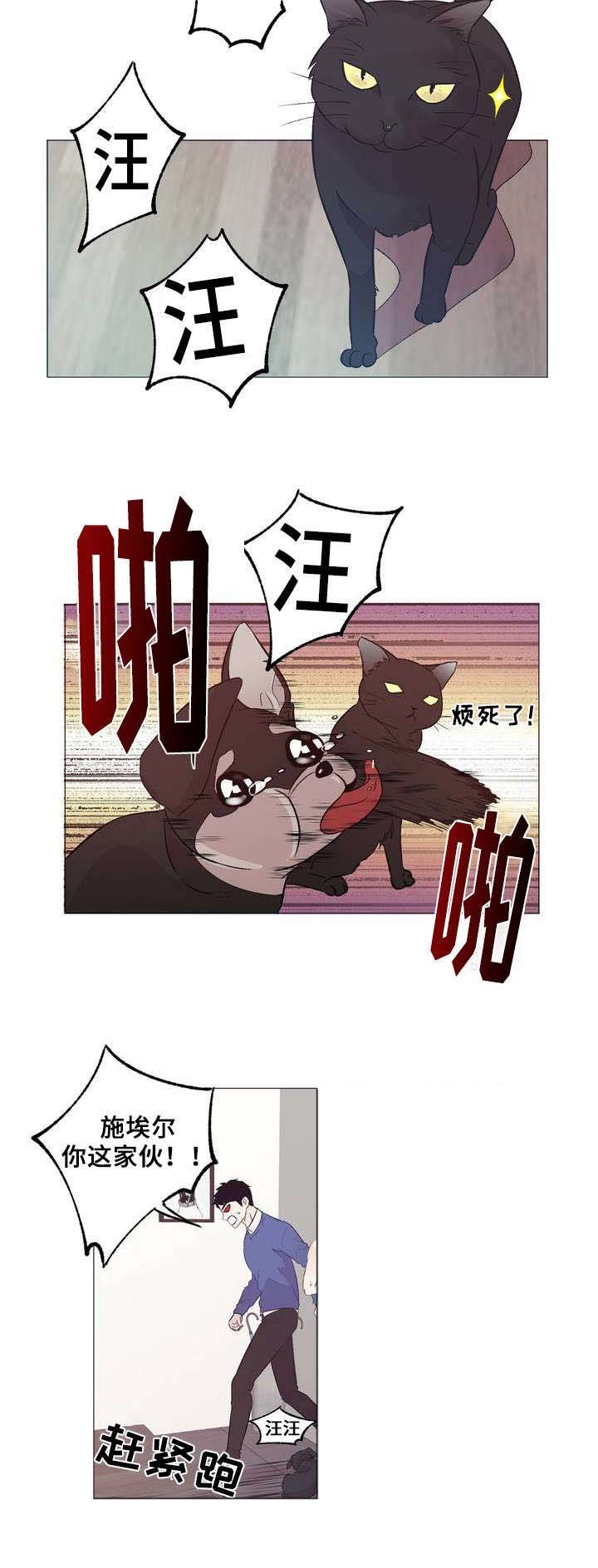 第1章：邻居