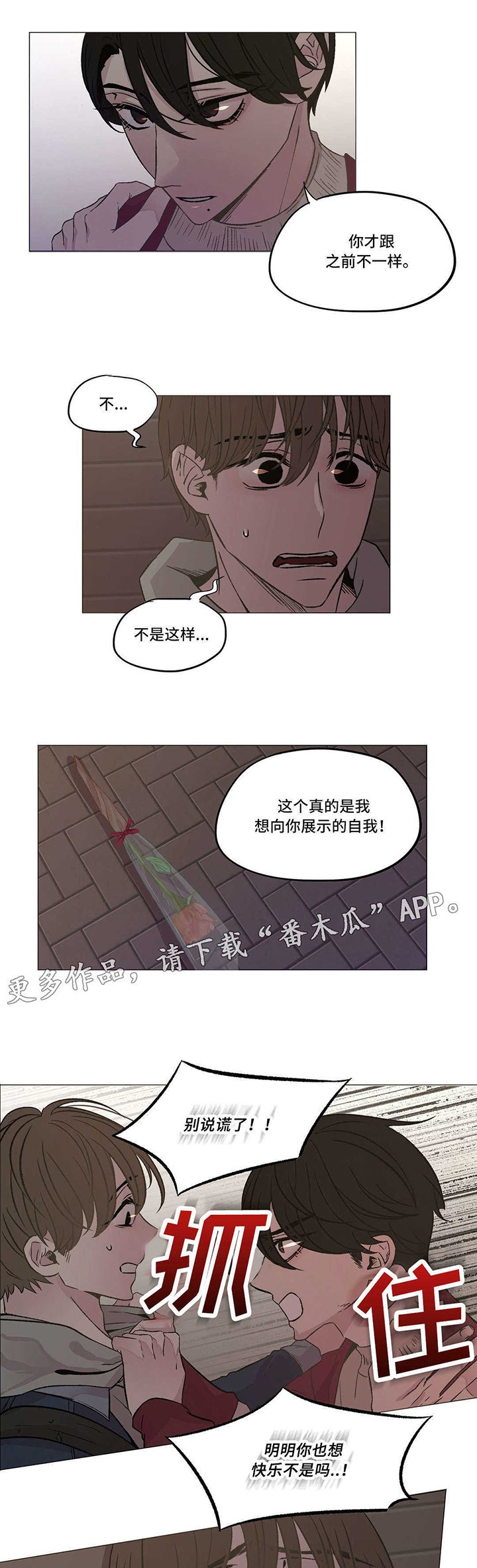 第17章：幻觉
