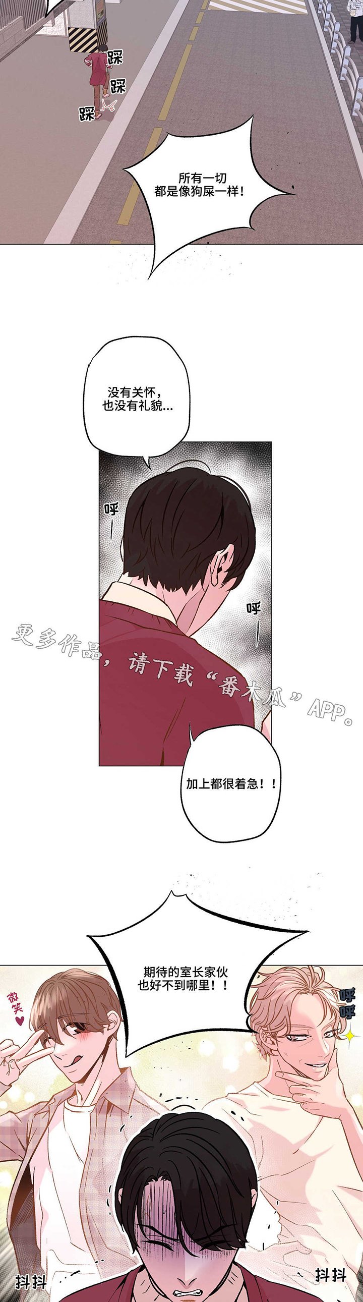 第17章：幻觉