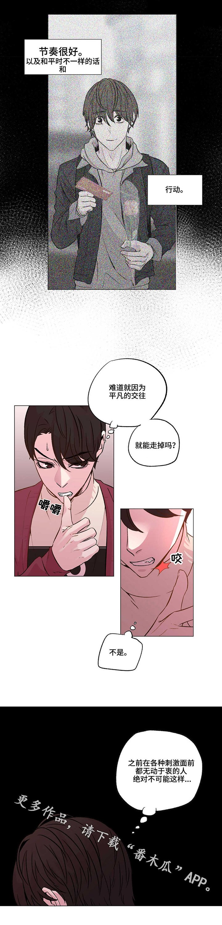 第17章：幻觉