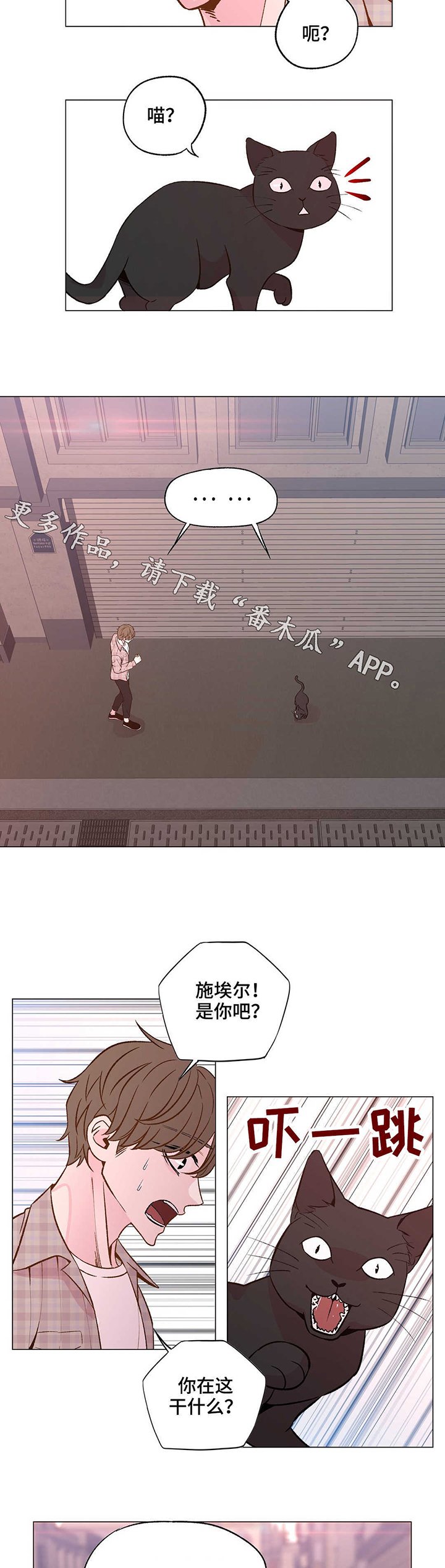 第24章：丢掉盲目幻想