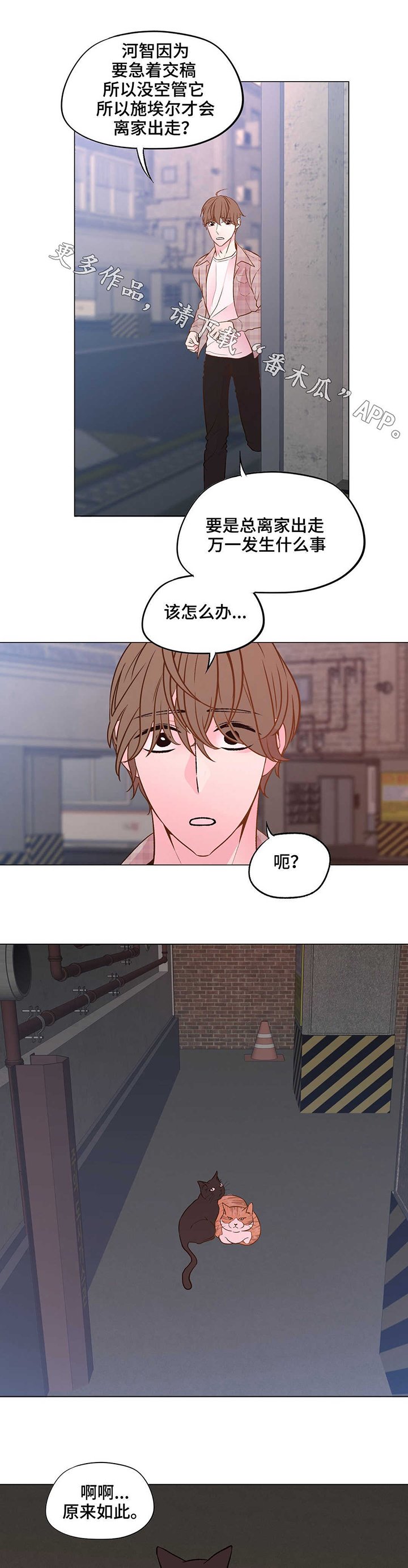 第24章：丢掉盲目幻想