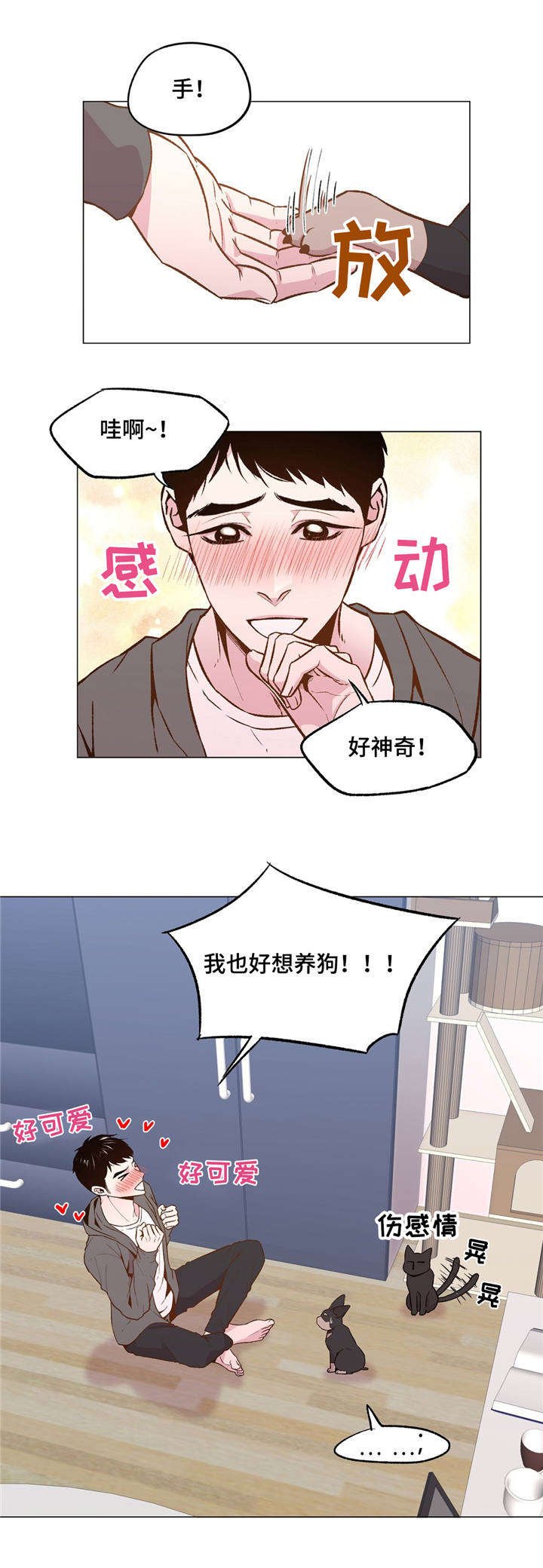 第28章：一直被欺负