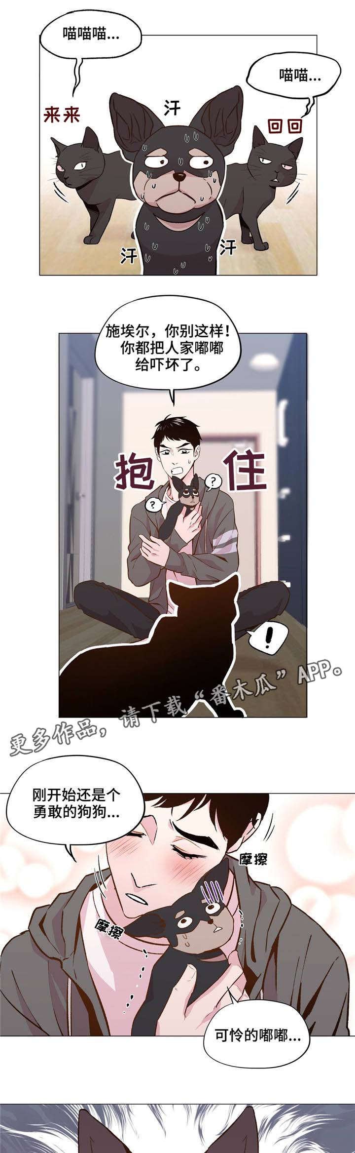 第28章：一直被欺负