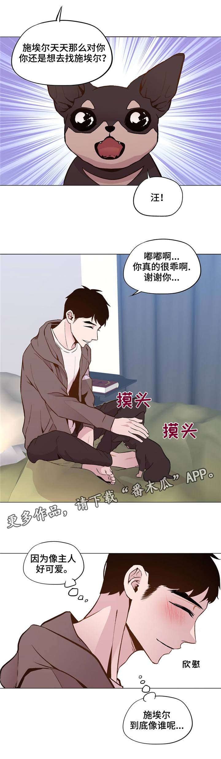 第28章：一直被欺负